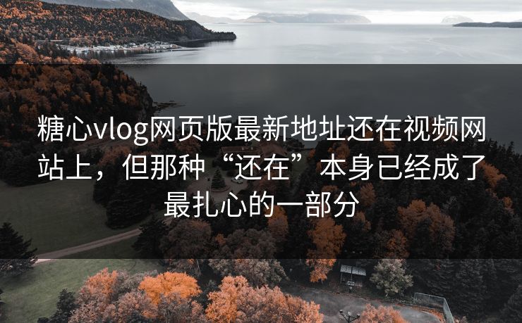 糖心vlog网页版最新地址还在视频网站上，但那种“还在”本身已经成了最扎心的一部分