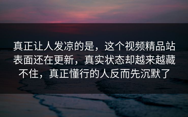 真正让人发凉的是，这个视频精品站表面还在更新，真实状态却越来越藏不住，真正懂行的人反而先沉默了